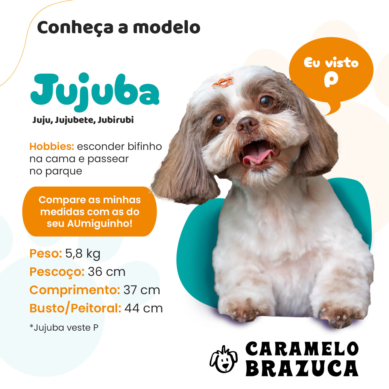Colete Salva-Vidas Pet para Cães Cor Azul