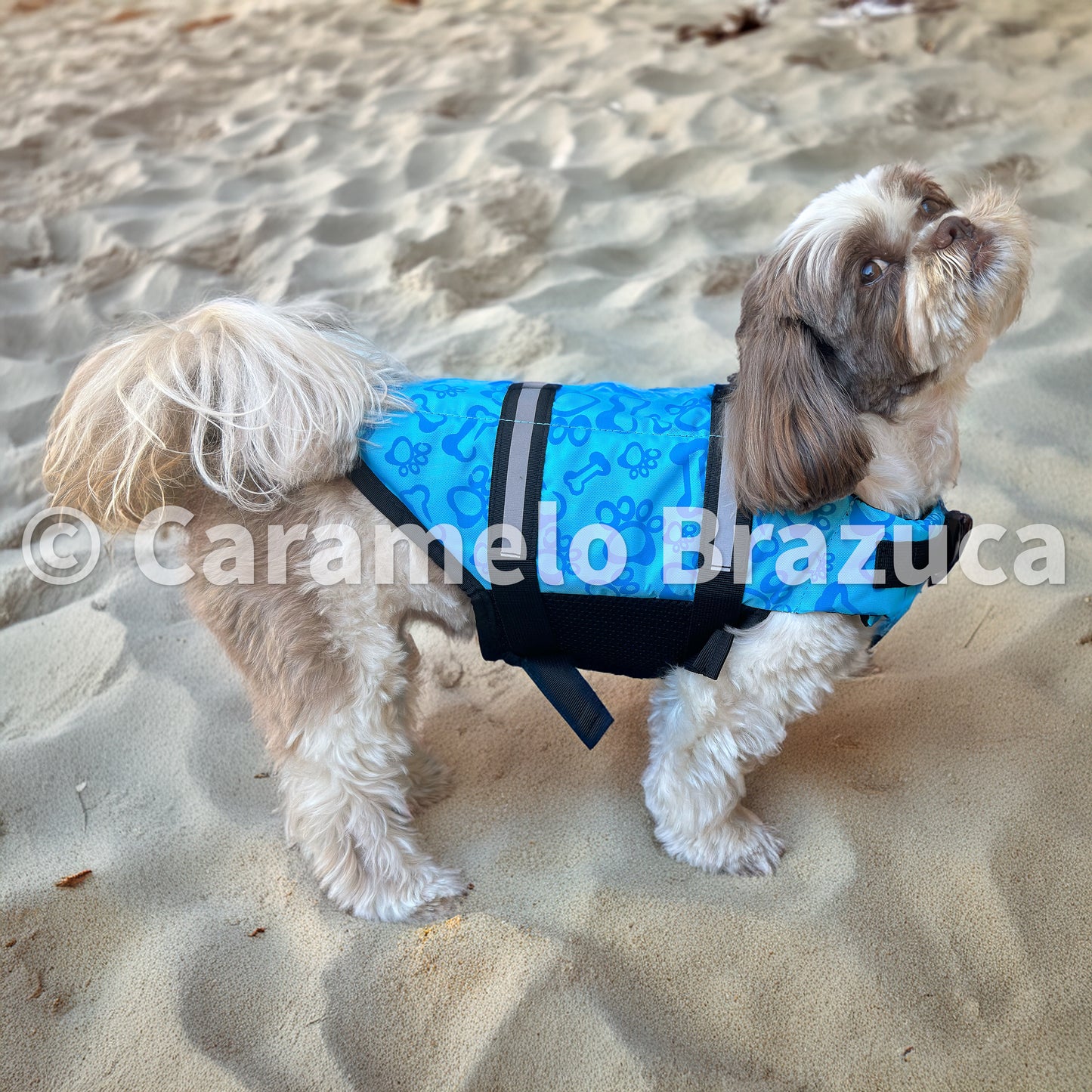 Colete Salva-Vidas Pet para Cães Cor Azul