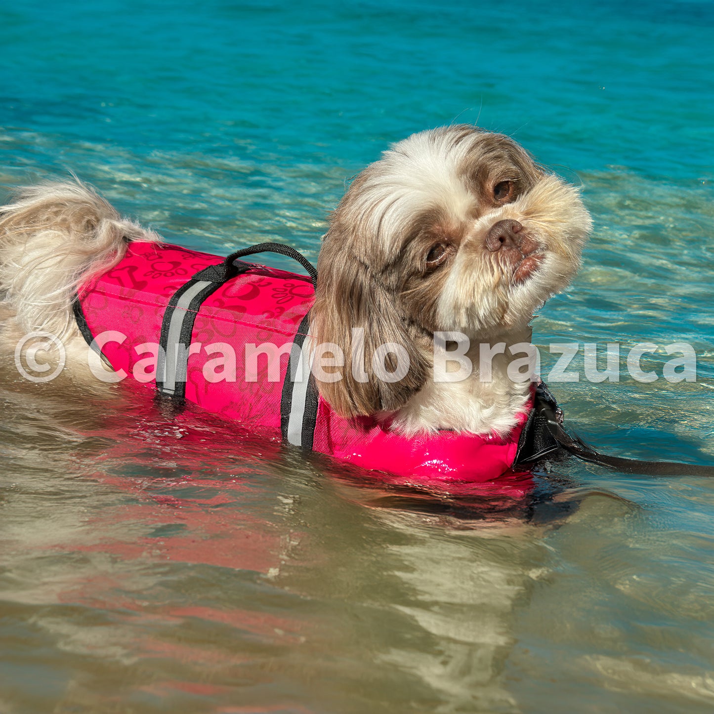 Colete Salva-Vidas Pet para Cães Cor Rosa
